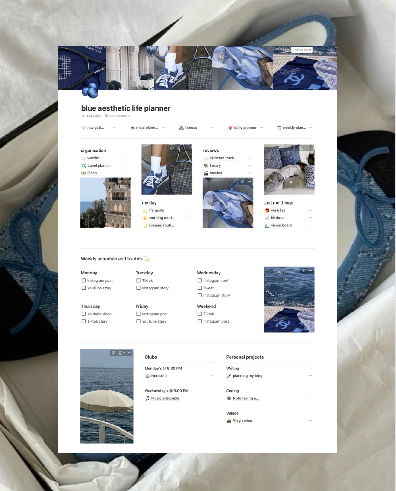 Blue Aesthetic Life Planner