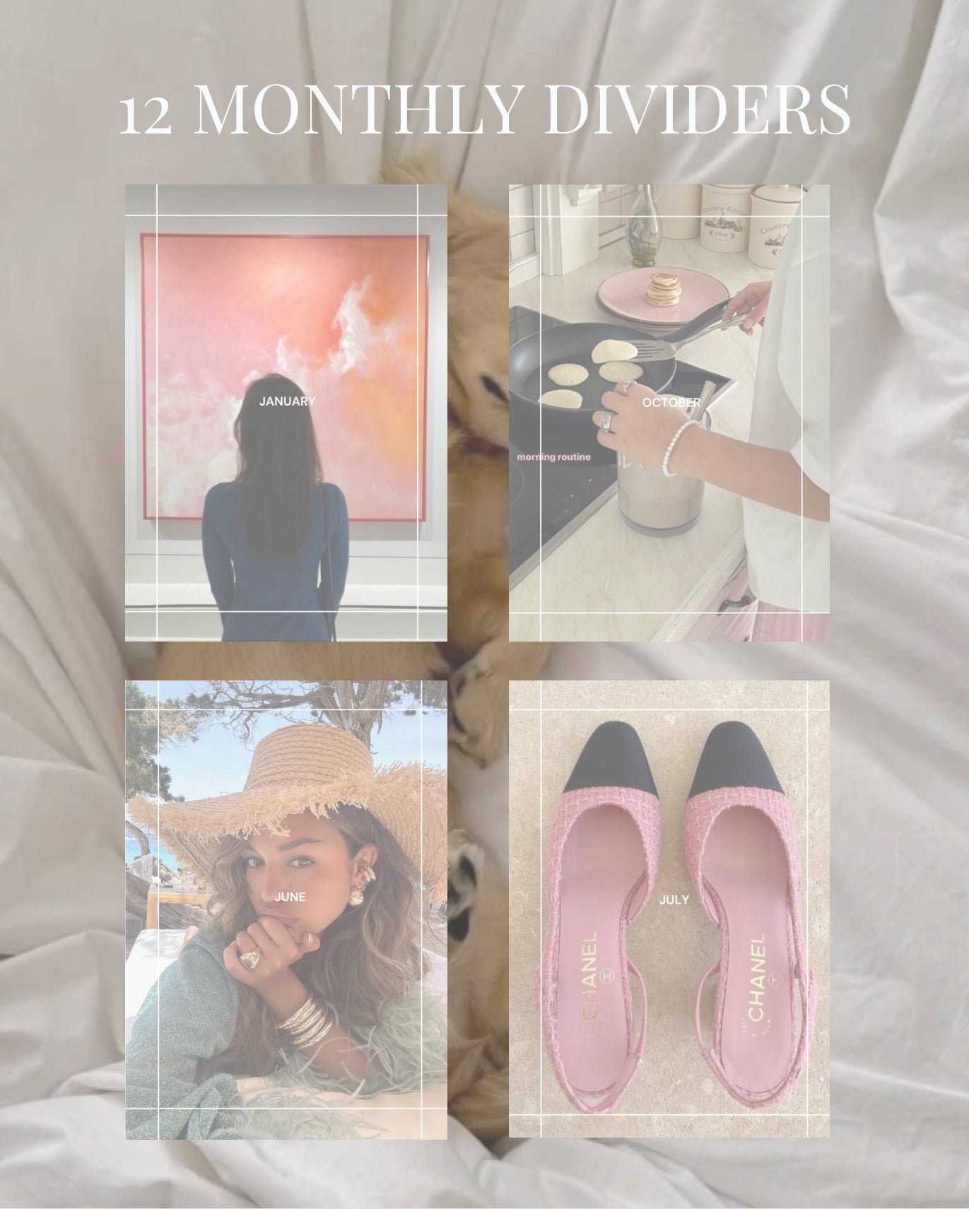 Aesthetic Goodnotes Student Planner